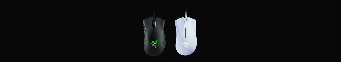 Two mice with one black and the other white.